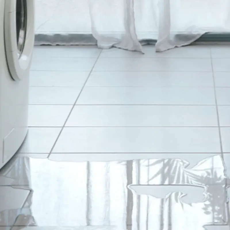 Appliance Leak Cleanup in Carrier Mills, IL