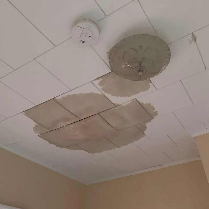 Ceiling Water Damage Repair in Carrier Mills, IL