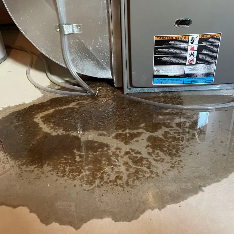 Pipe Burst and Leak Restoration in Carrier Mills, IL